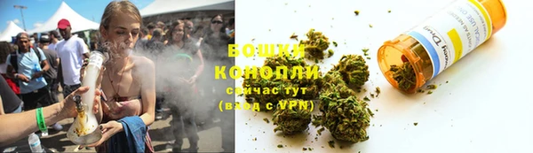 ПСИЛОЦИБИНОВЫЕ ГРИБЫ Балабаново