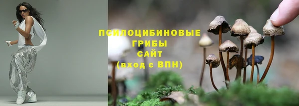 ПСИЛОЦИБИНОВЫЕ ГРИБЫ Балабаново
