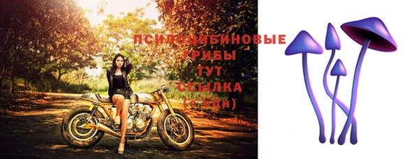 гидра Баксан