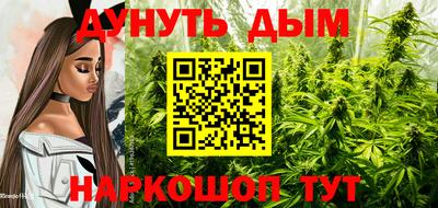 СК Донской